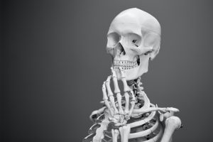 Read more about the article Building Strong Bones: Calcium Importance